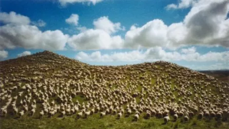 Rural women slam govt broadband plan
