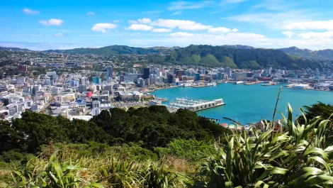 Wellington IT event detailed