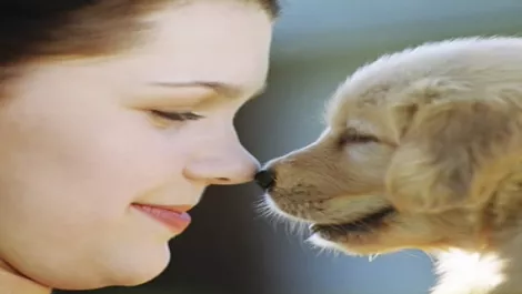 Pet lovers rejoice