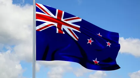 New Zealand IT workers staying put, survey finds