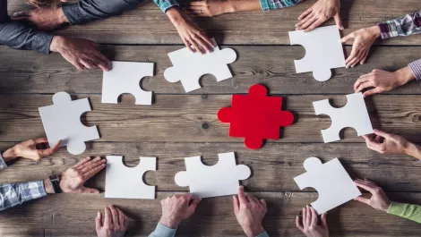 Reckon announces partnership with VIP Home Services franchise