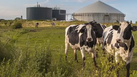 Time to address the elephant in the room — renewables